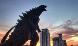 荒野新皮肤爆料最新视频,揭秘神秘视频中的绝美风采